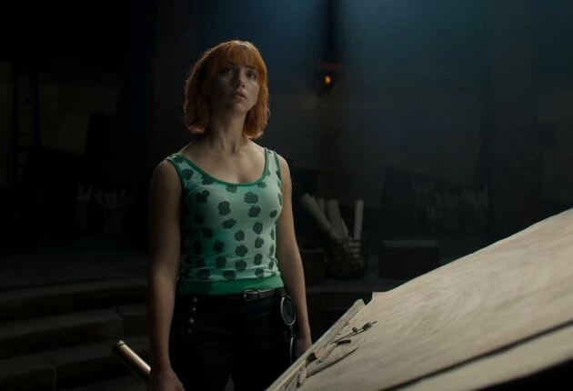 Изображение 1 сезона сериала Ван Пис. Большой куш